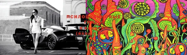 ПСИЛОЦИБИНОВЫЕ ГРИБЫ Заволжье