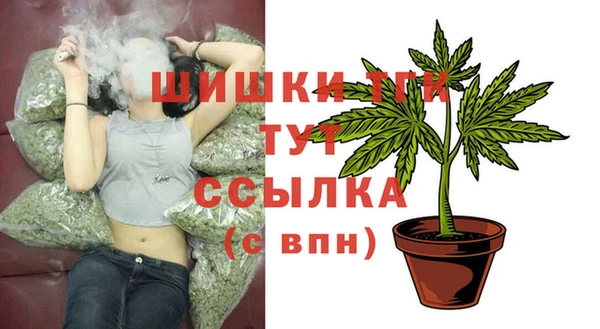 МДПВ Елизово