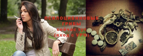 МДПВ Елизово