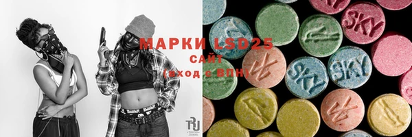 mdpv Ельня