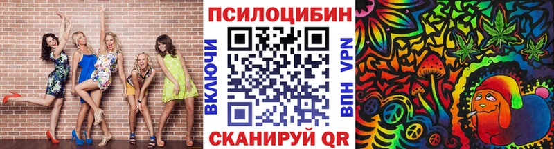 Псилоцибиновые грибы Psilocybine cubensis  Заполярный 
